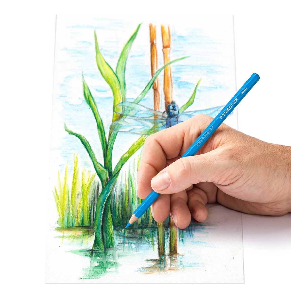 Estojo Lápis de Cor Staedtler Aquarelável Design Journey com 12 Cores
