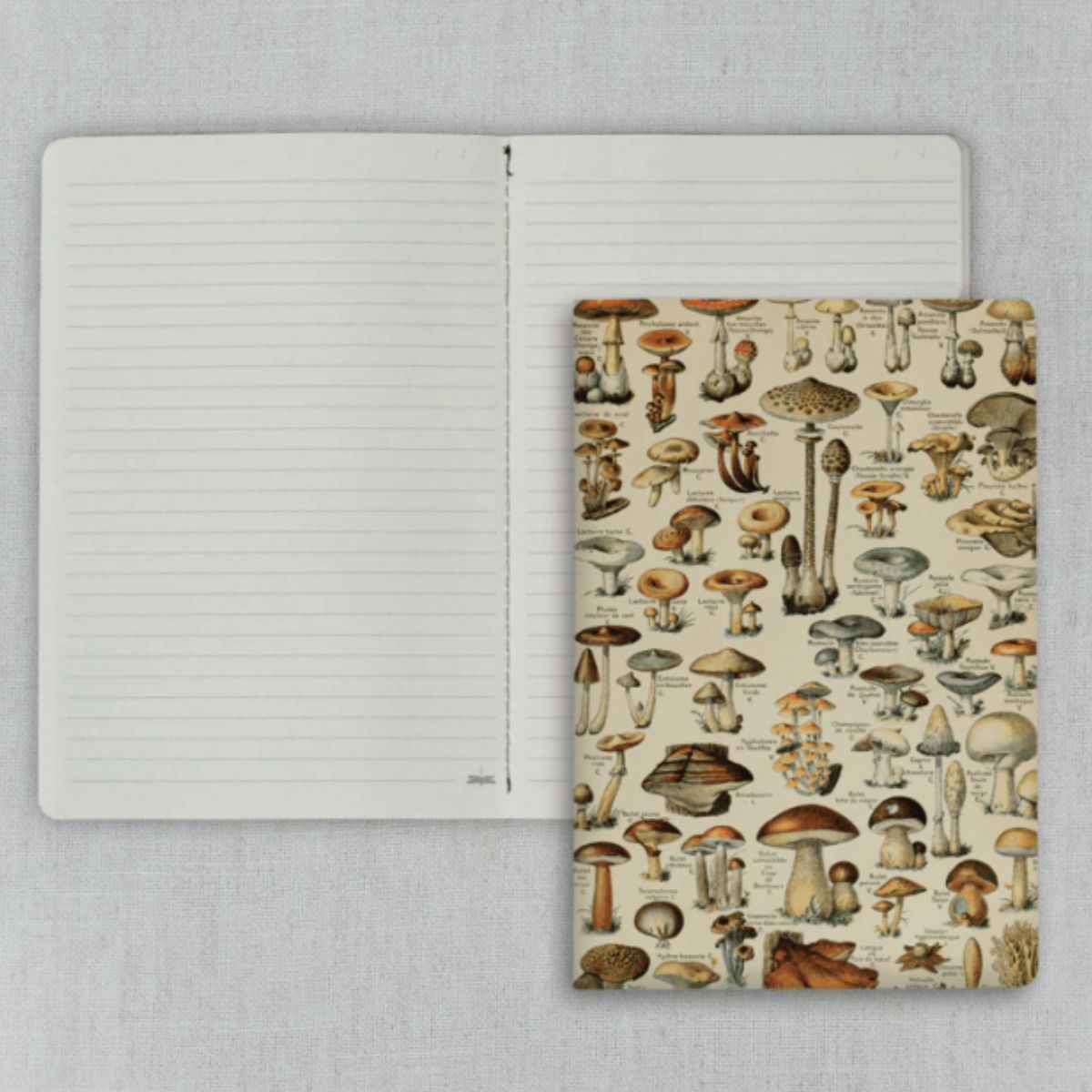 Caderno Journal Folk Books 20x13,5 Pautado Cogumelos