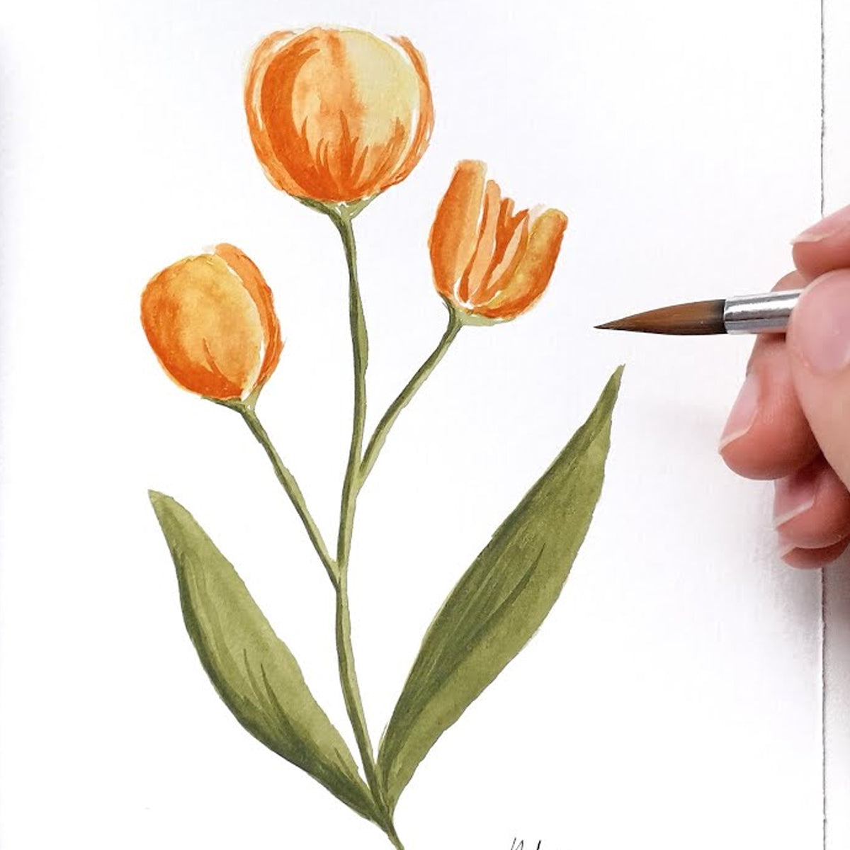 Tinta Aquarela Artístico Pastel Estojo com 12 Unidades