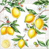 Guardanapo para Decoupage Ambiente 33x33cm com 20 Unidades - Citrus