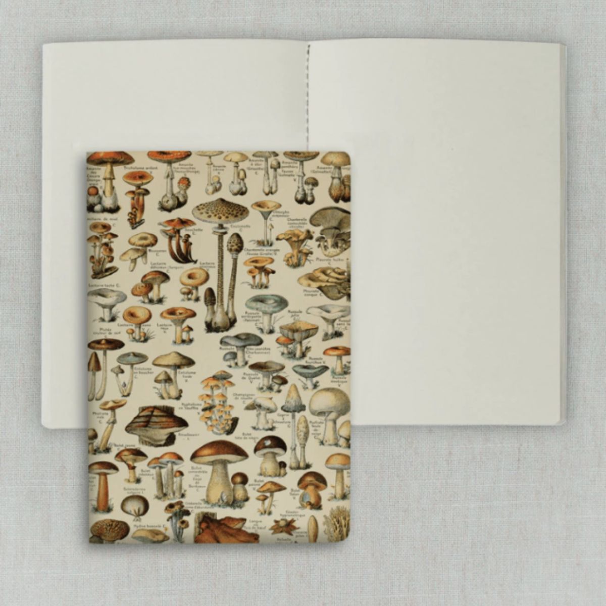 Caderno Journal Folk Books sem Pauta 20x13,5 Cogumelos