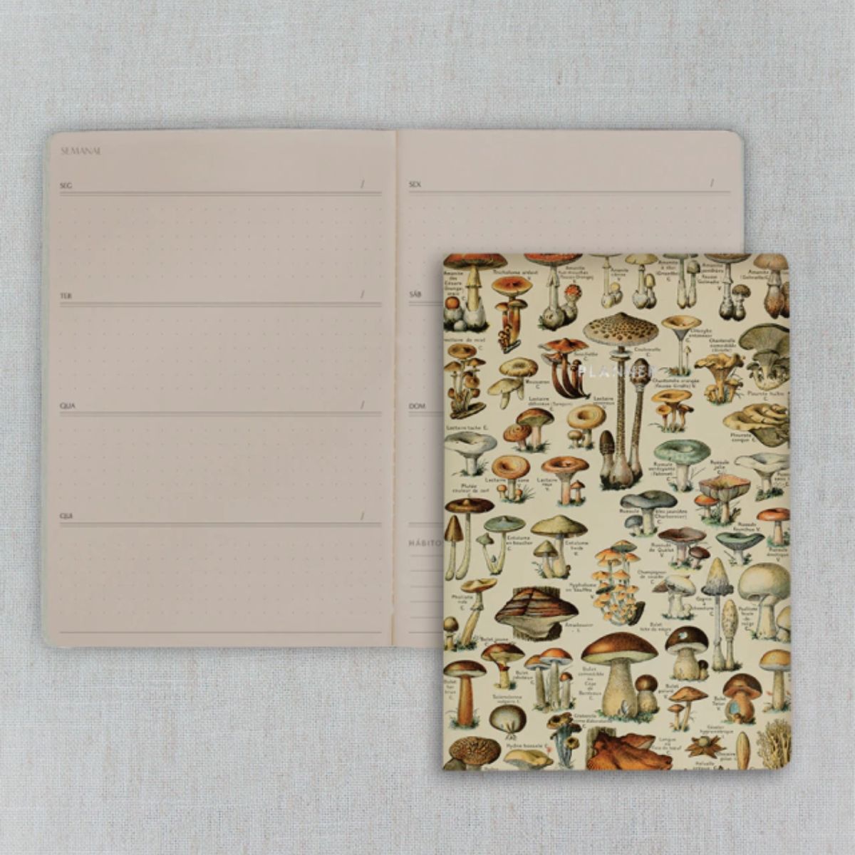 Planner Semanal Folk Books Pontilhado 20x13,5 Cogumelos
