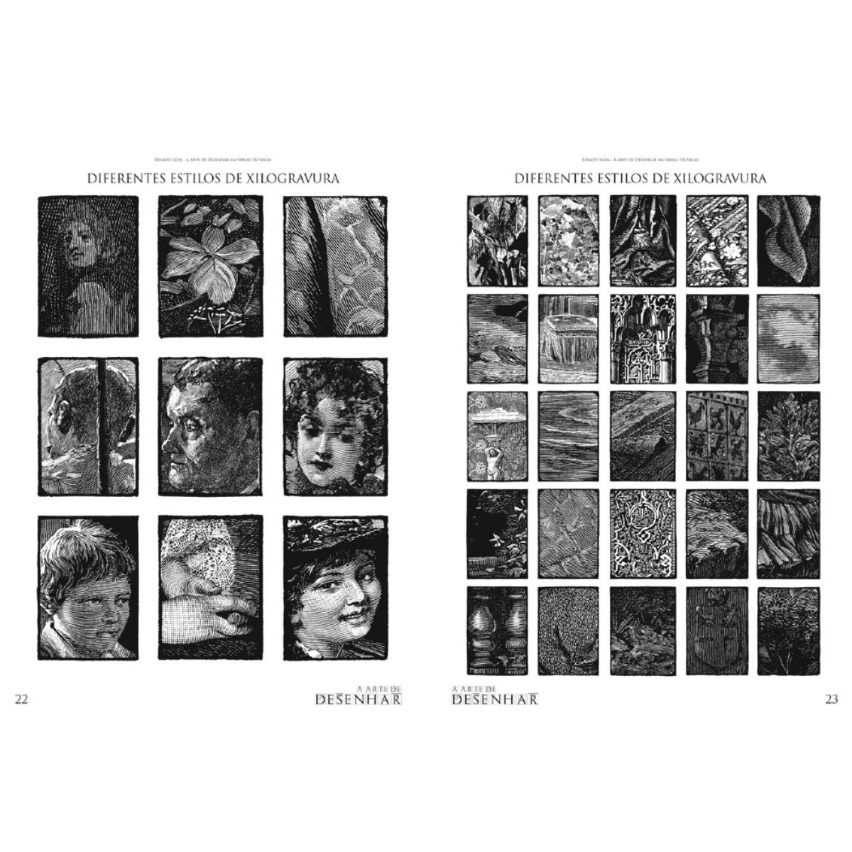 Livro a Arte de Desenhar - Várias Técnicas Vol. 21 - Renato Silva - Criativo