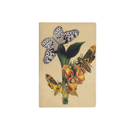 Caderno Journal Folk Books 13,5x9  sem Pauta Entomologia Oriental