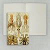 Caderno Journal Folk Books sem Pauta 20x13,5 Polvos & Lulas