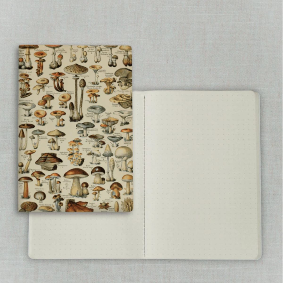 Caderno Journal Folk Books 20x13,5 Pontilhado Cogumelo 