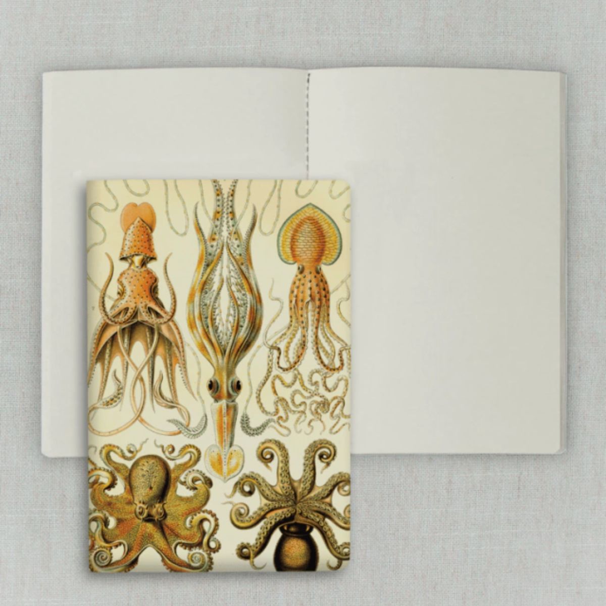 Caderno Journal Folk Books 13,5x9 sem Pauta Polvos & Lulas 