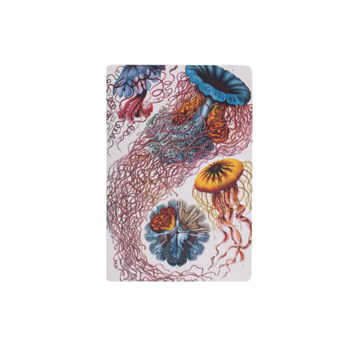 Caderno Journal Folk Books 13,5x9 sem Pauta Medusas 